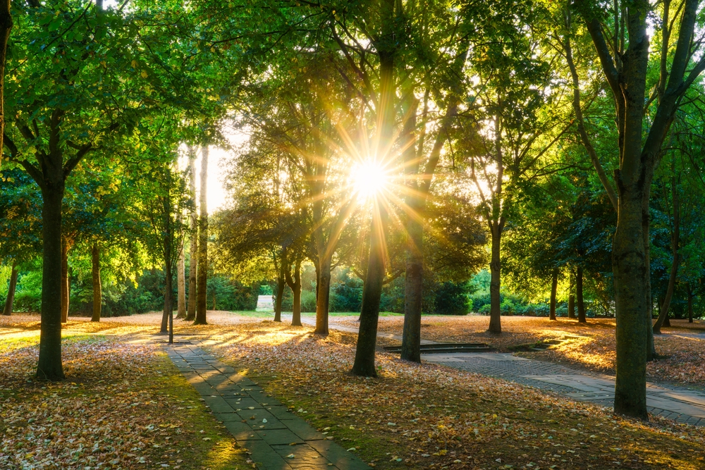 2025 September Insights – Hyperion Fund
