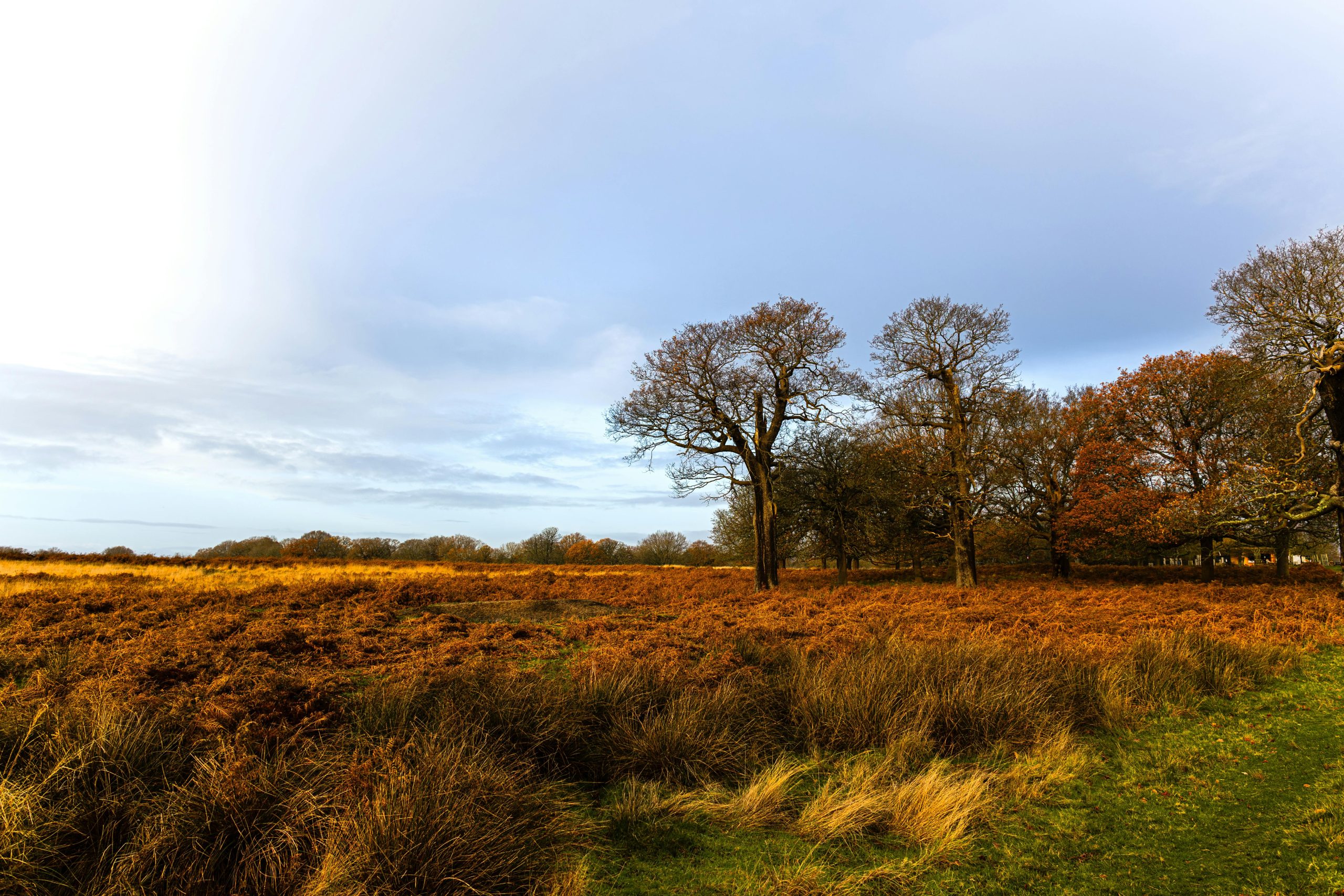 2025 November Insights – Hyperion Fund