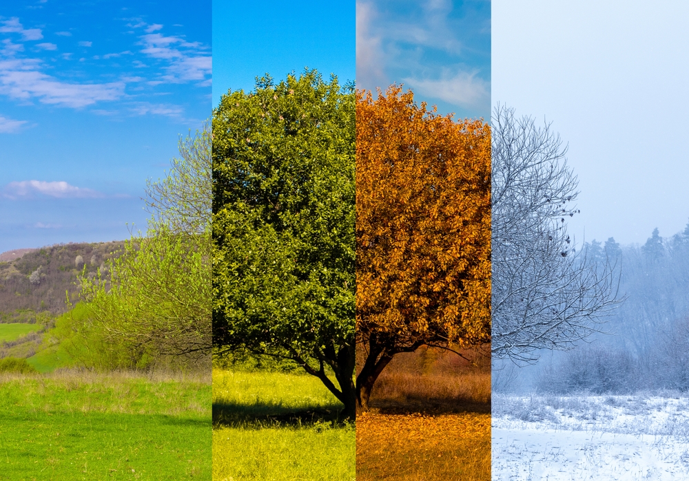 Chapter 1: What are the Best Months to Invest?