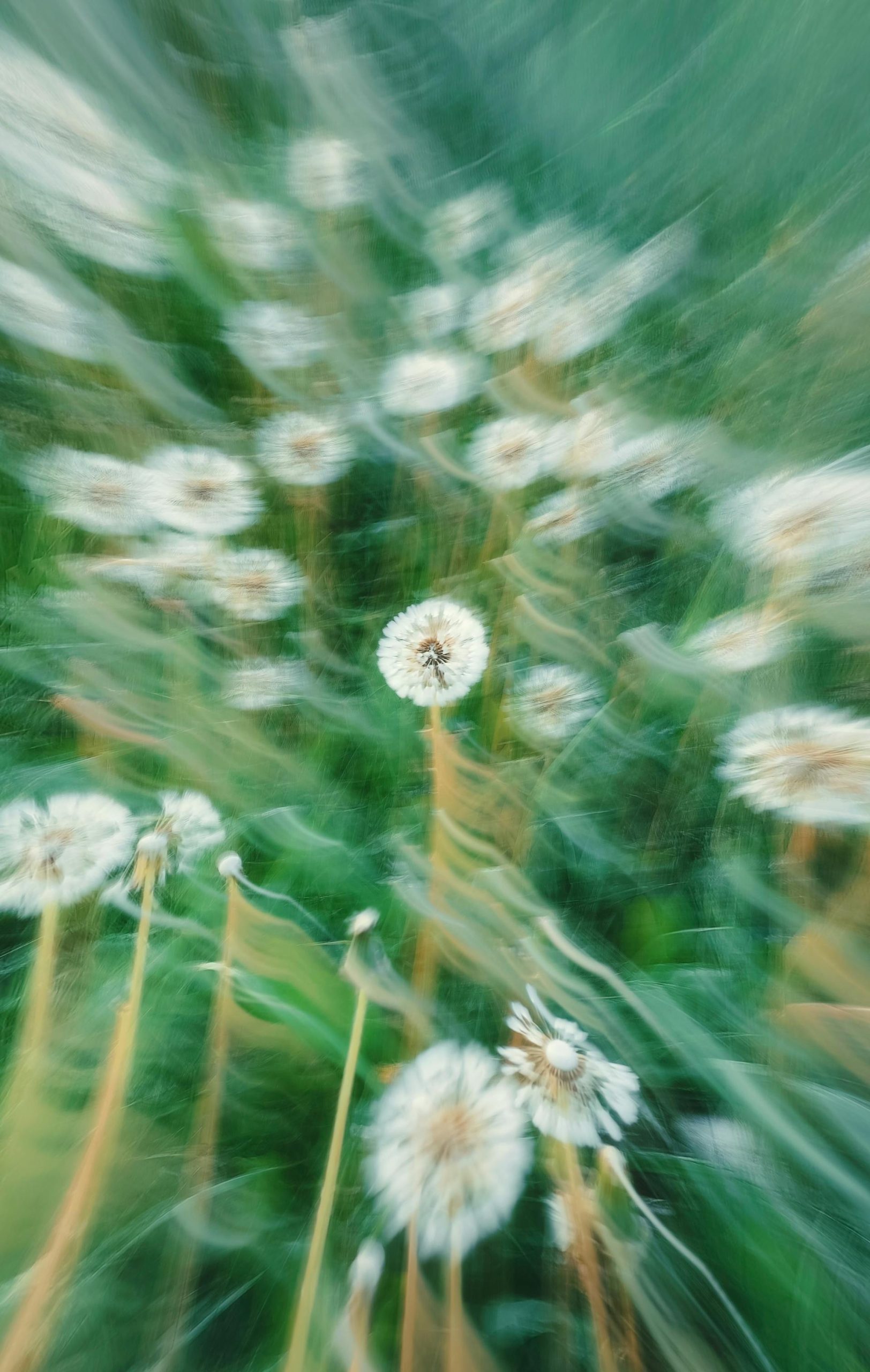 2026 April Insights – Hyperion Fund